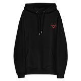 Classic Embroidered Hoodie (colors options)