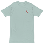 Classic Embroidered Tee (color options)