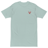 Classic Embroidered Tee (color options)