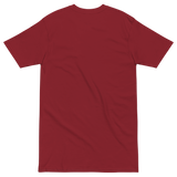 Classic Embroidered Tee (color options)