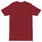 Classic Embroidered Tee (color options)