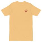 Classic Embroidered Tee (color options)