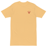 Classic Embroidered Tee (color options)