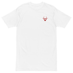 Classic Embroidered Tee (color options)